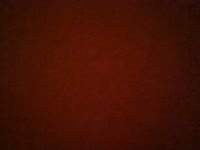 I am a nice and friendly blonde can fulfill all your wishes, do not hesitate to ask!