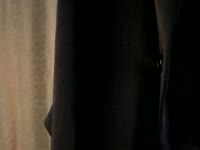 Kitsune is a mythical fox from Japanese folklore, she